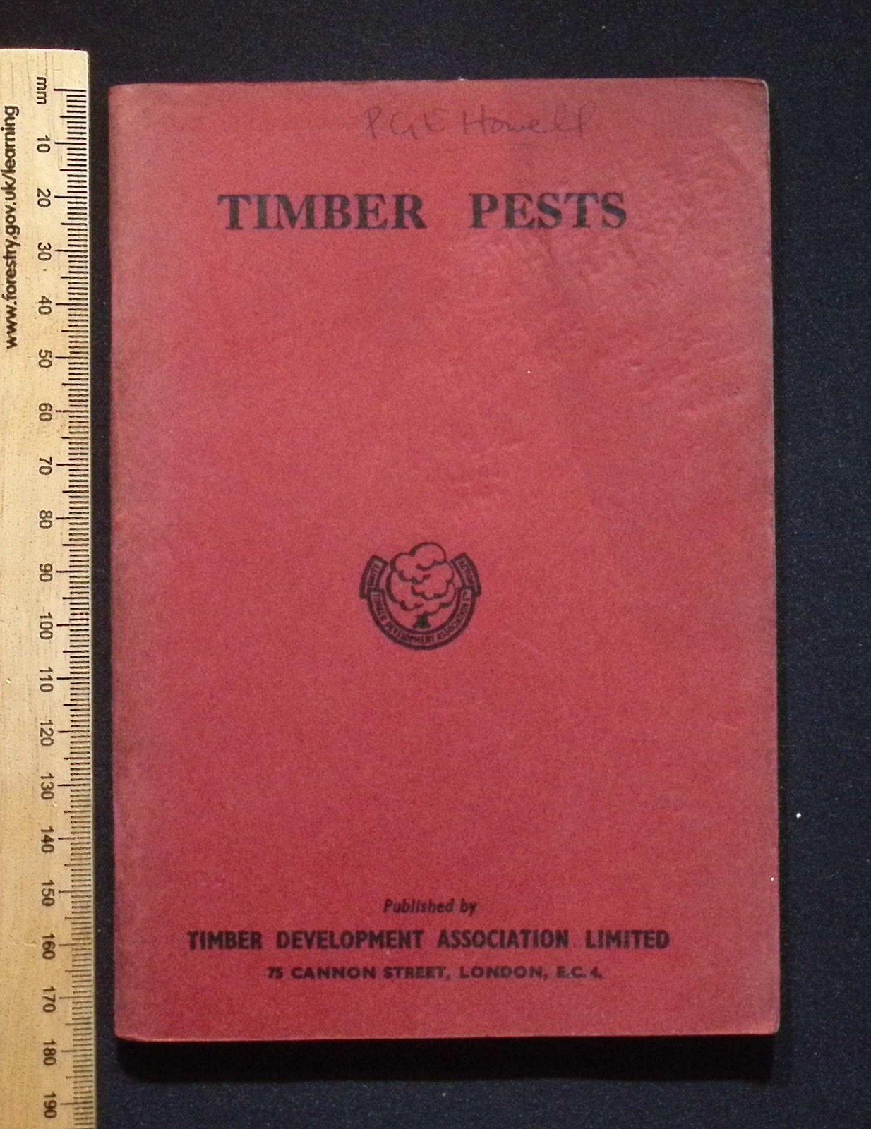 Timber Pests: Their Origin, Prevention & Cure by Timber Development Assoc., 1949