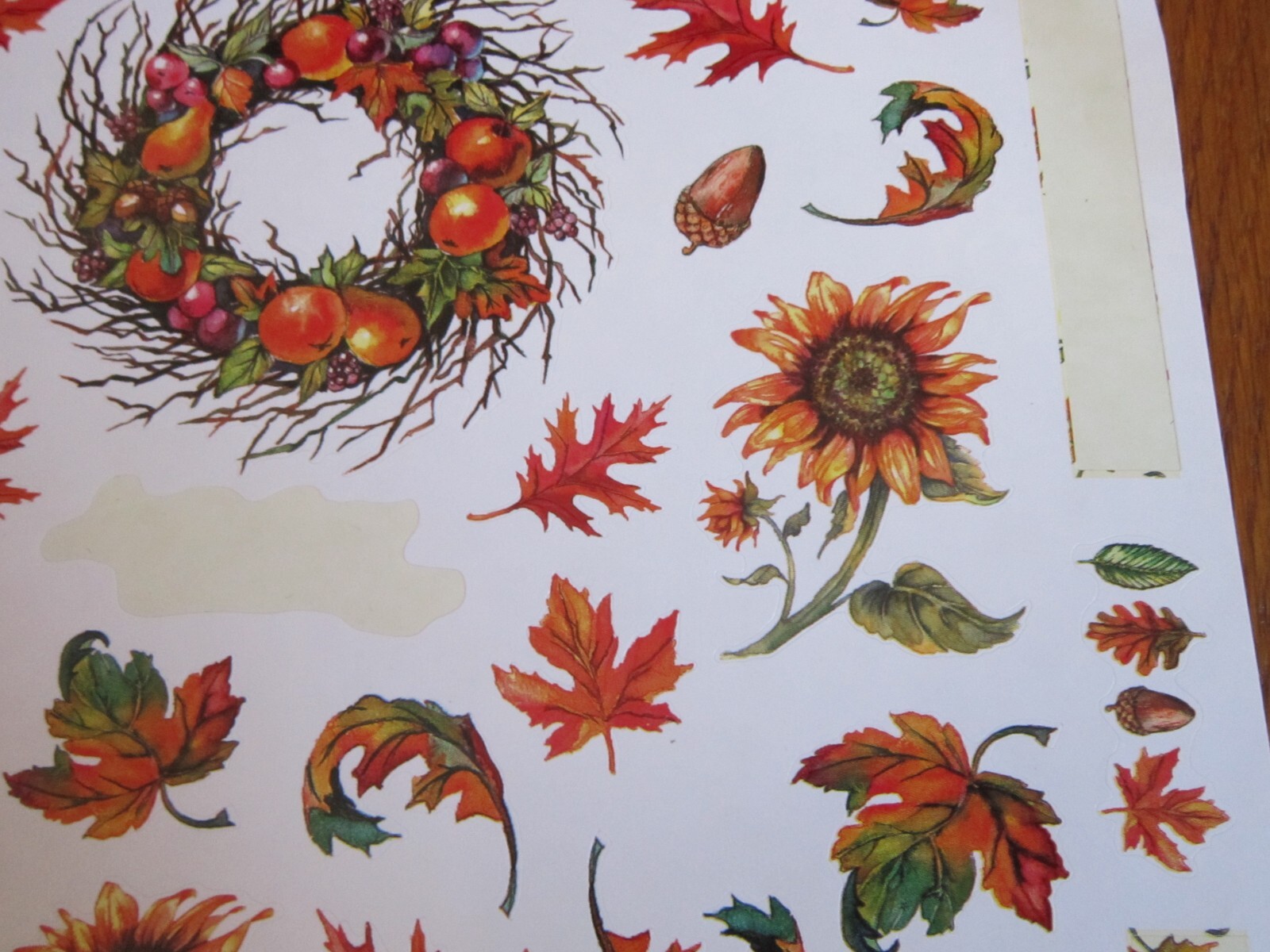 PSX Design Stickers Autumn Fall Color Leaves Acorns 2001 ONE SHEET PartiallyUsed