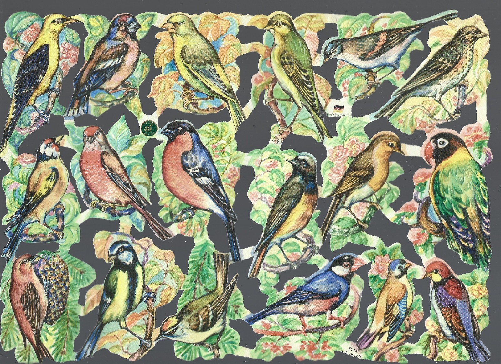 German Embossed Vintage Style Scrap Die Cut – Beautifully Colored Birds EF7144