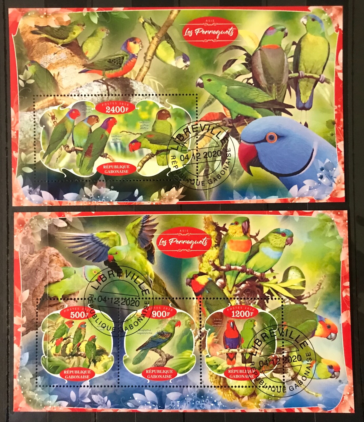 Parrots / Birds / Fauna / Nature — CTO – B307