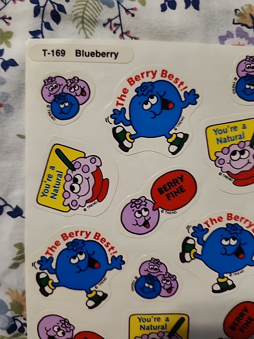 NEW Vintage TREND Scratch & Sniff Sticker FULL Sheet BLUEBERRY Scent RARE