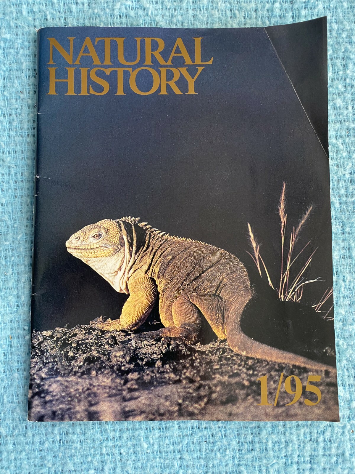 Natural History Magazine January 1995 Galapagos New Mexico Afrovenator Arctic