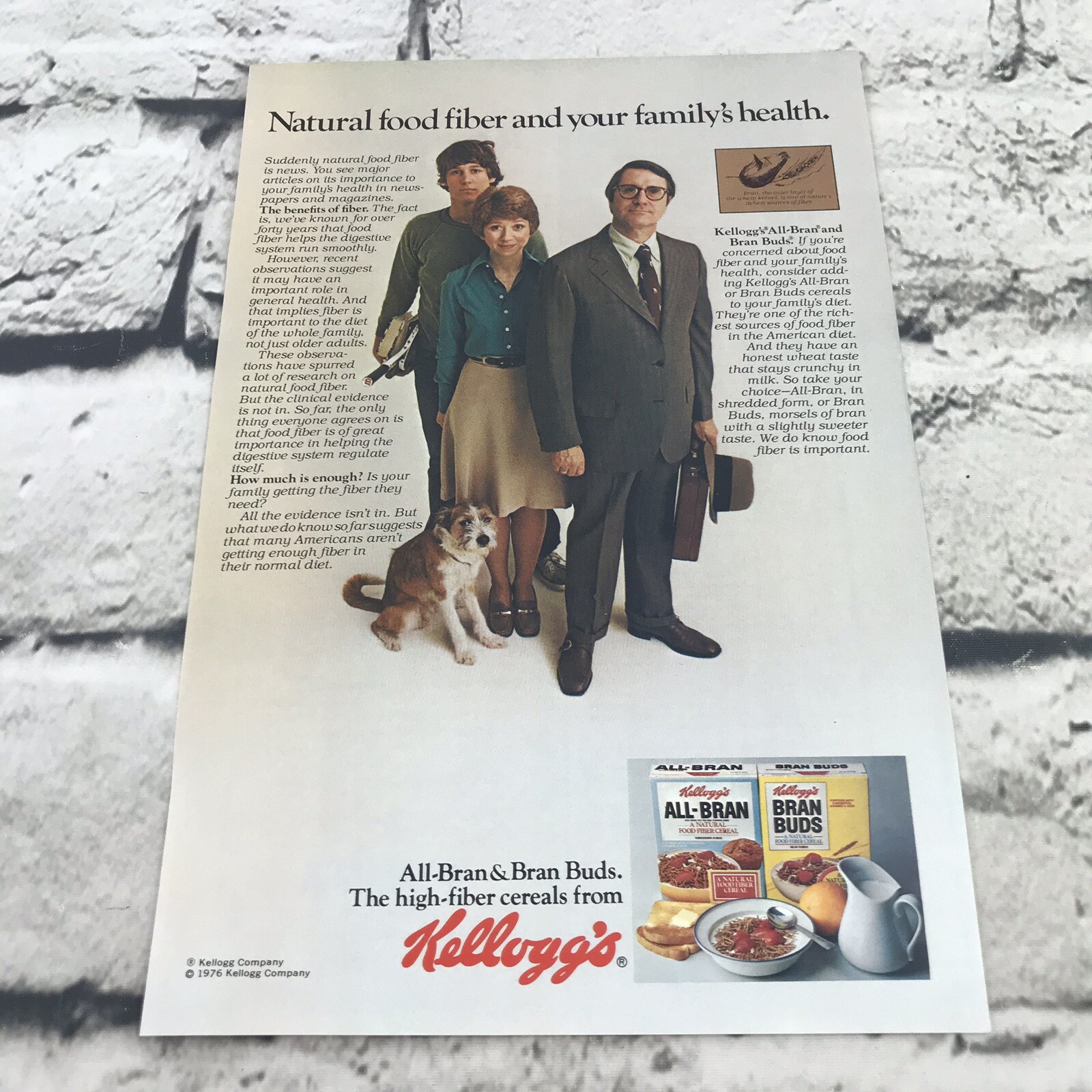 Vtg 1976 Kelloggs All Bran Bran Buds Print Ad Advertising Art