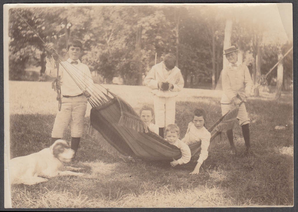 Four boys two girls a hammock a Kodak & a dog photo ca 1890s