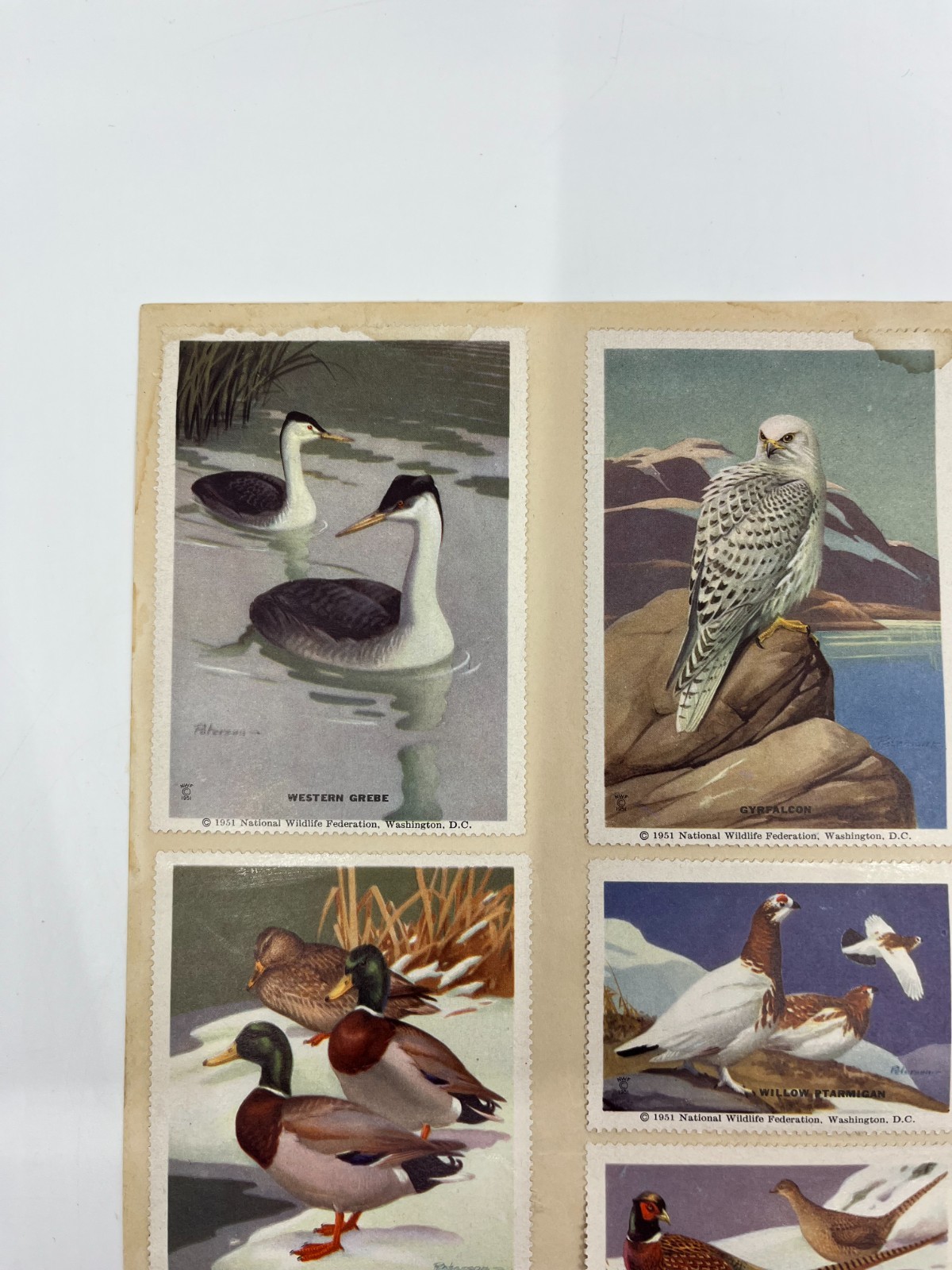 1951 National Wildlife Federation Wildlife Stamp Prints Birds Flowers Stamp Lot