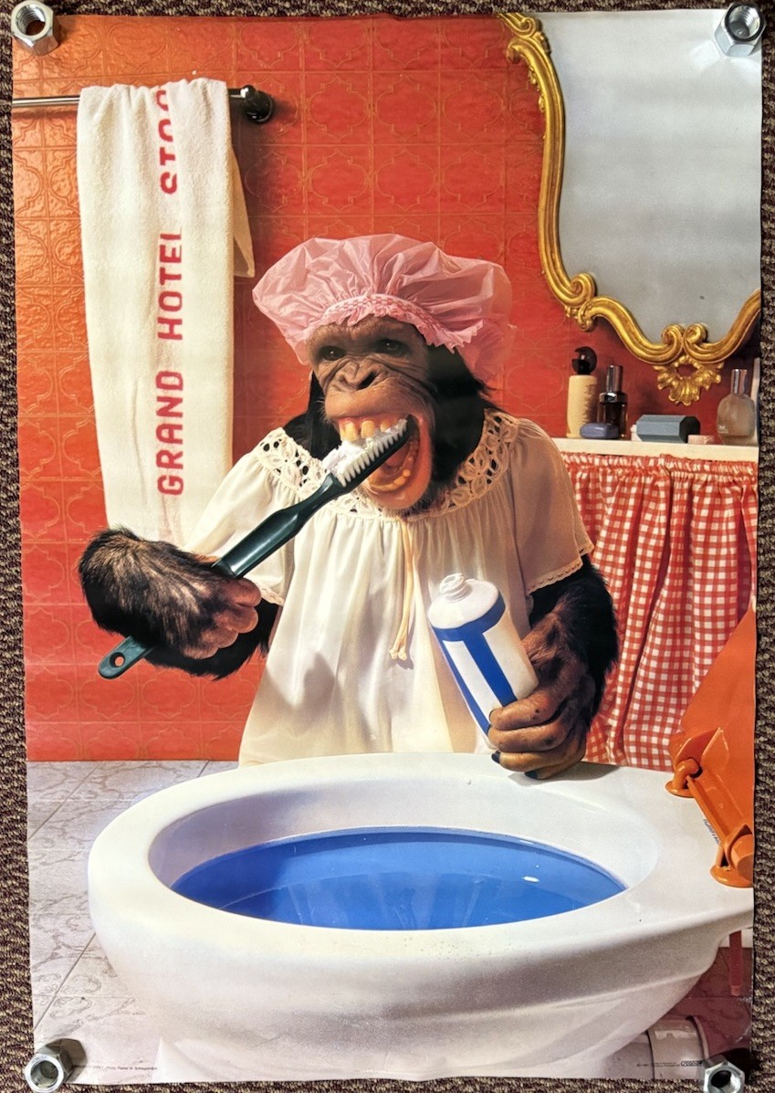 Vintage Toothbrush Chimpanzee Monkey Poster 1981 Scandecor 80s Grand Hotel 38×26