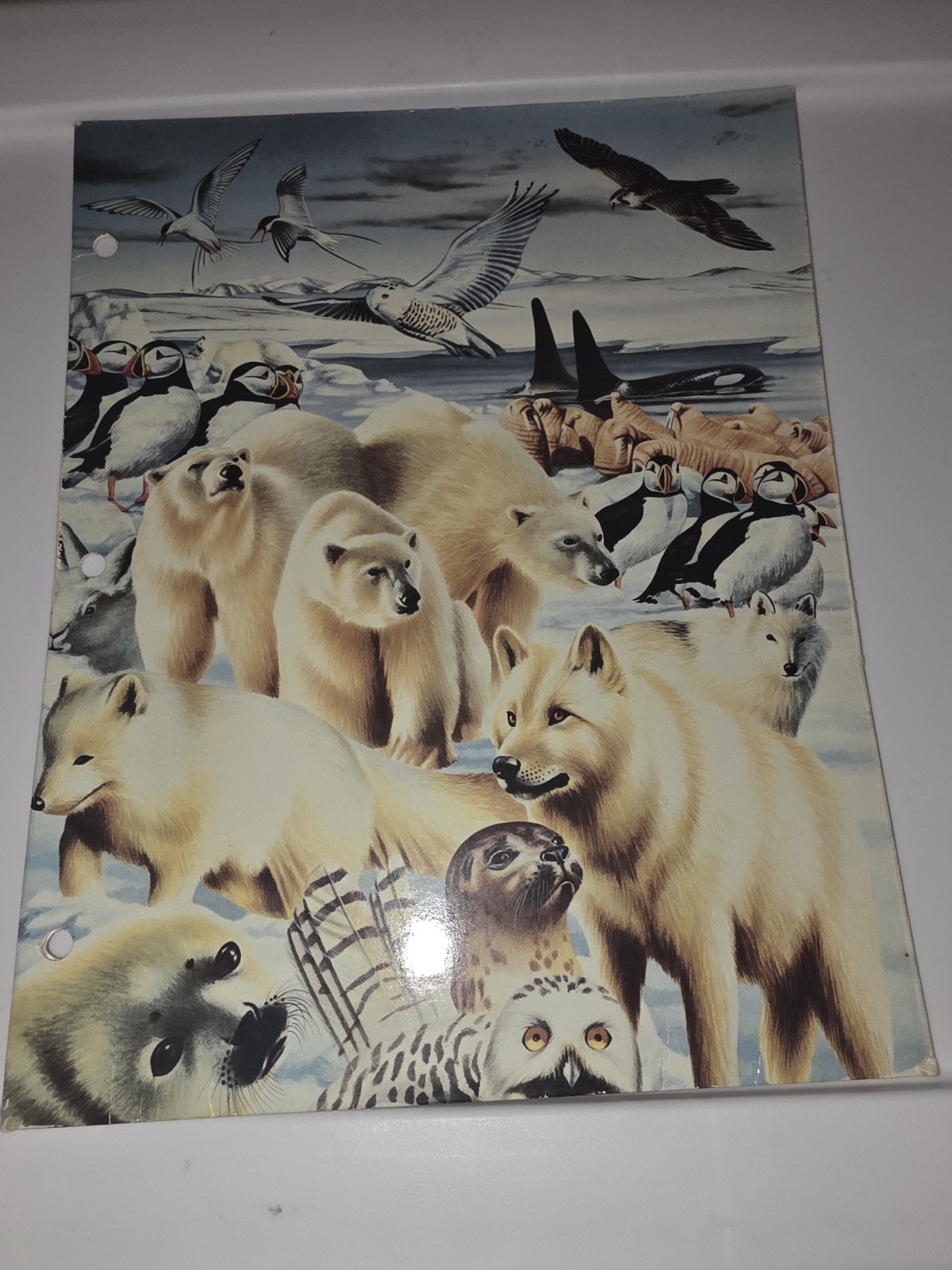 1995 Animal Awareness Vintage School Pocket Folder, Penguin, Polar Bear