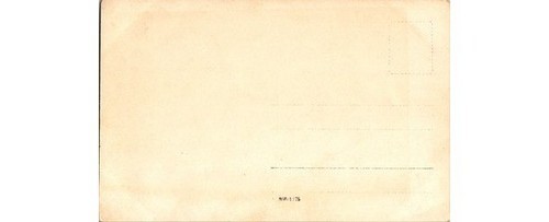 1900s School Children & Teacher Sepia Postcard – Divided Back – Americana