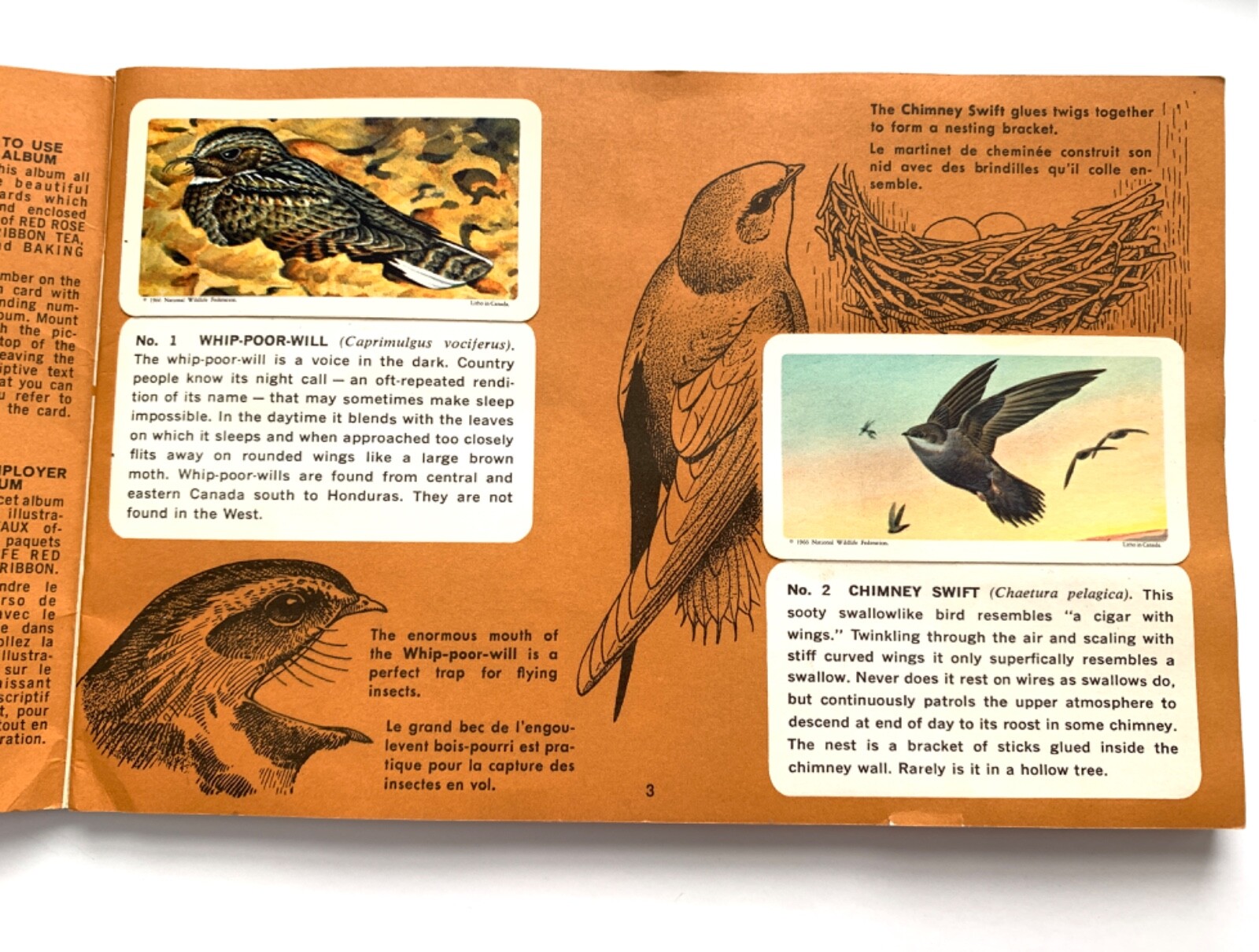 Canadian-American Songbirds Booklet Album #9, Birds, Songbirds, Brooke Bond 1966