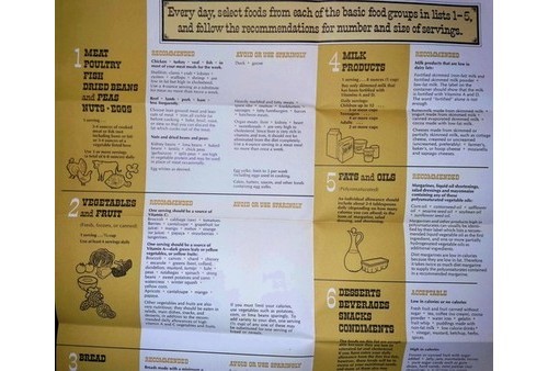 AHA Heart Health Diet Guide: The Way to a Man’s Heart Fat Controlled Plan 1960s