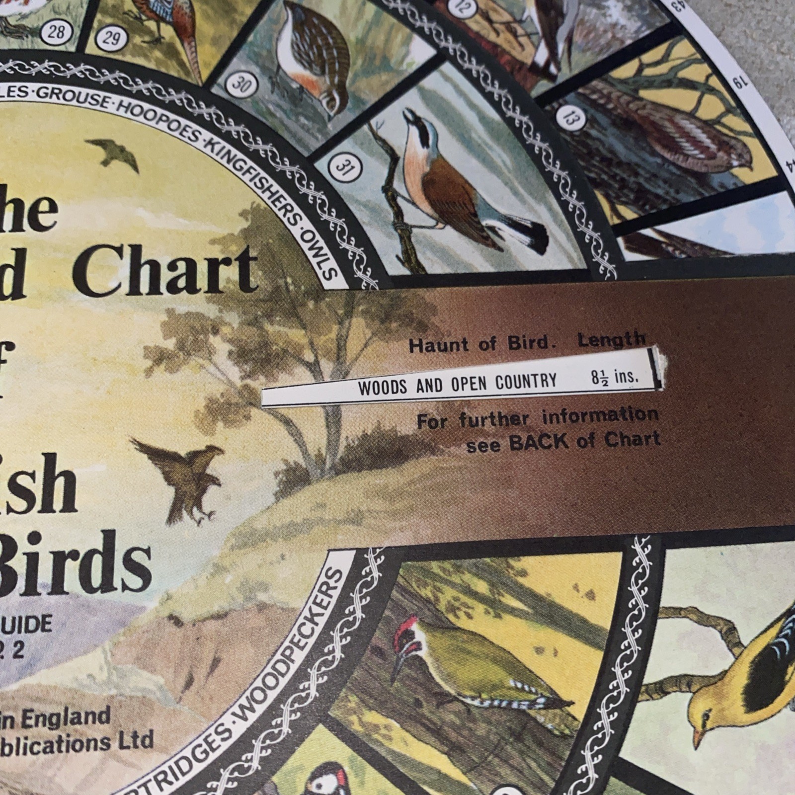 Vintage The Wingfield Chart of British Wild Birds. Spotters Guide info wheel