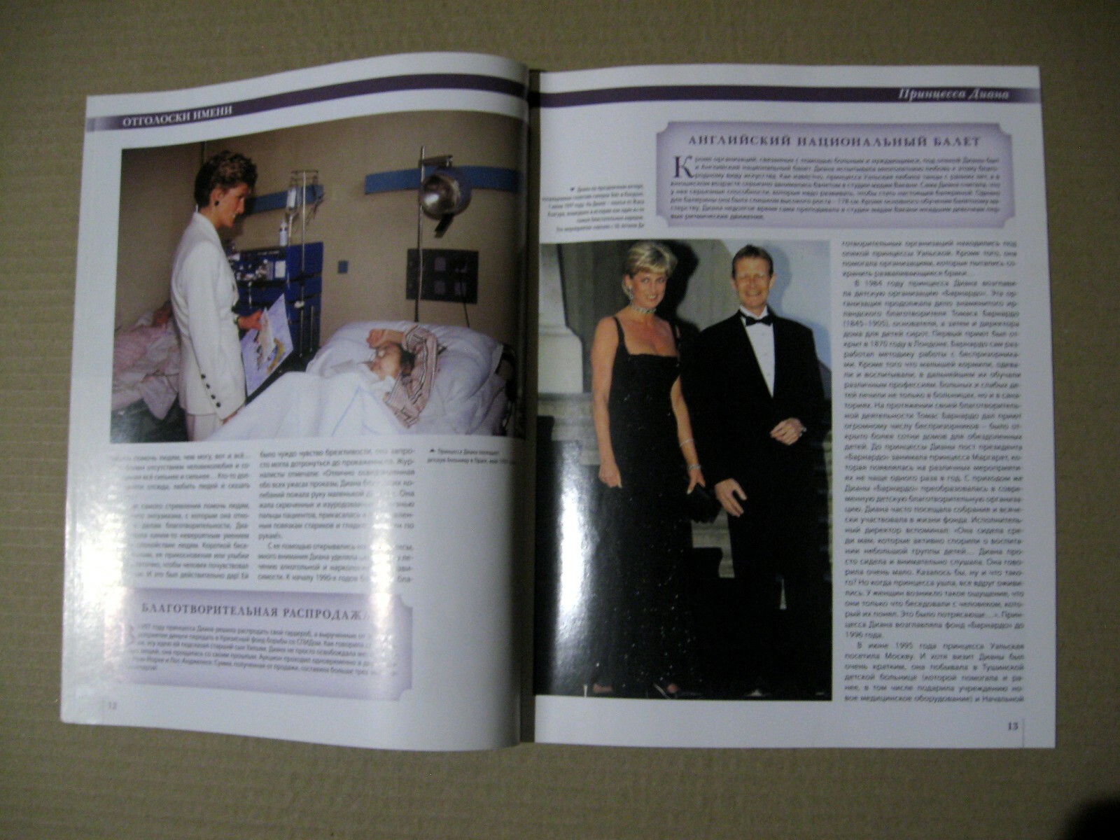 Magazine 2013 Russia Diana Princess of Wales cover article