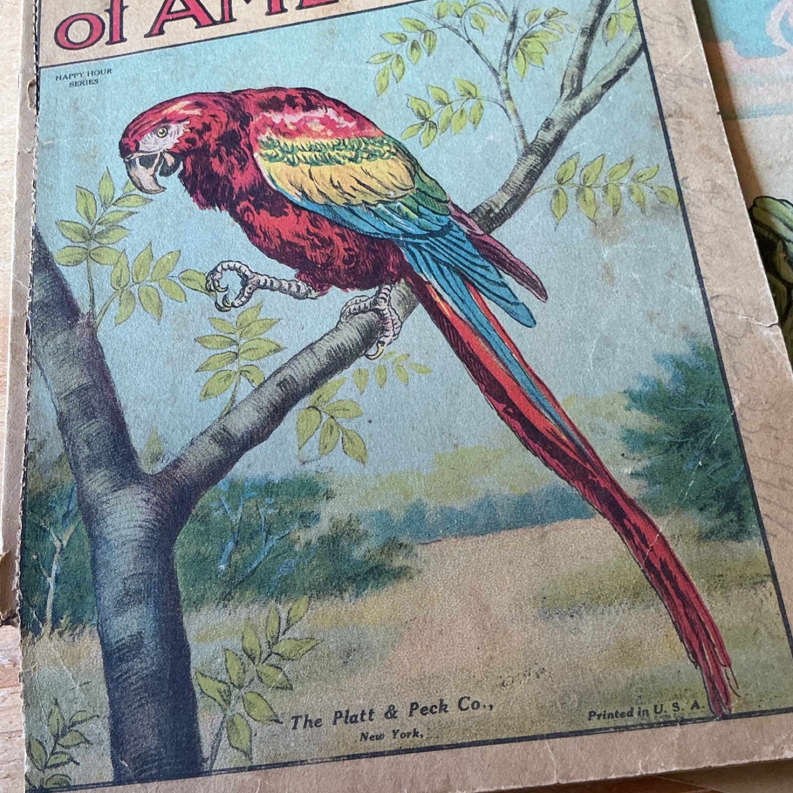 Antique Books very rare Platt & Peck Birds of America Illustrated loose pages
