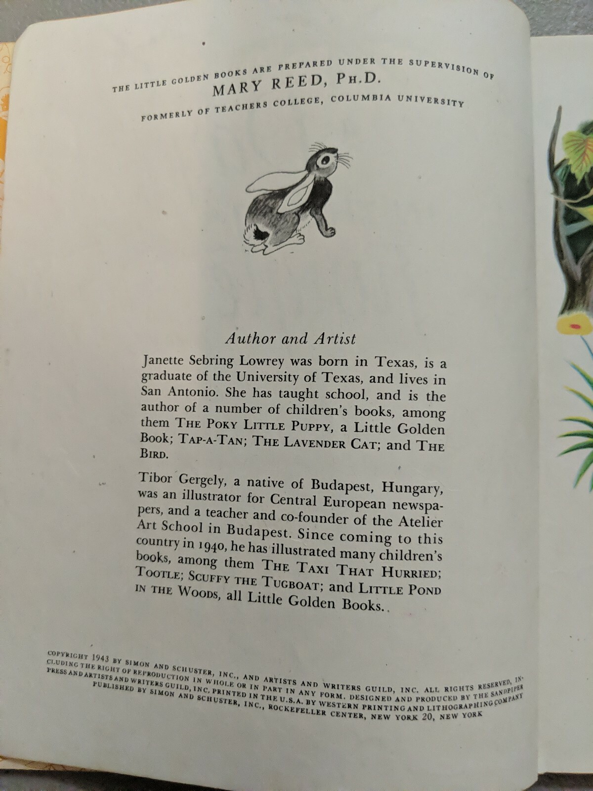 A Day In The Jungle, A Little Golden Book,1943(VINTAGE Brown Binding)