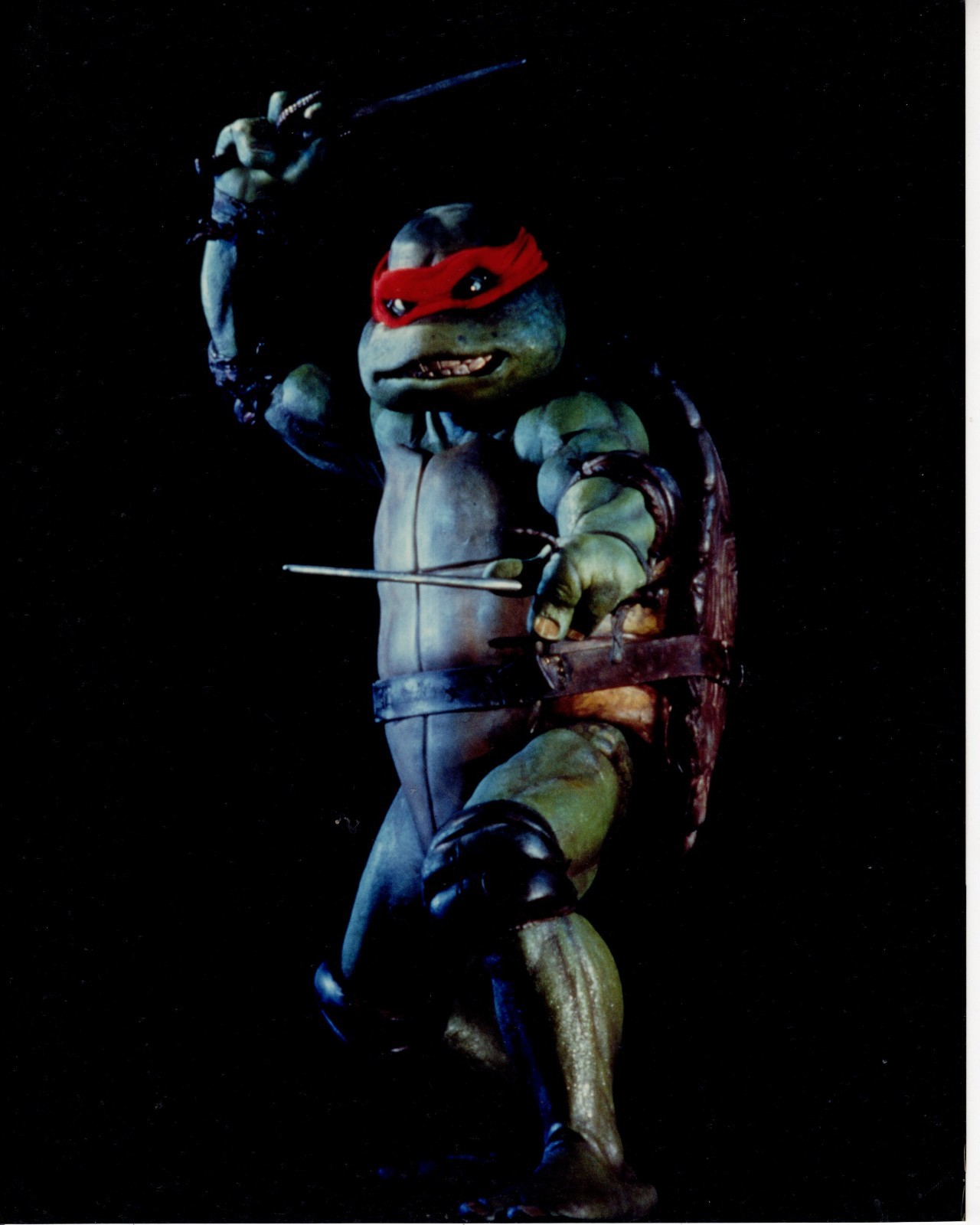 Teenage Mutant Ninja Turtle 8×10 photo #W7294