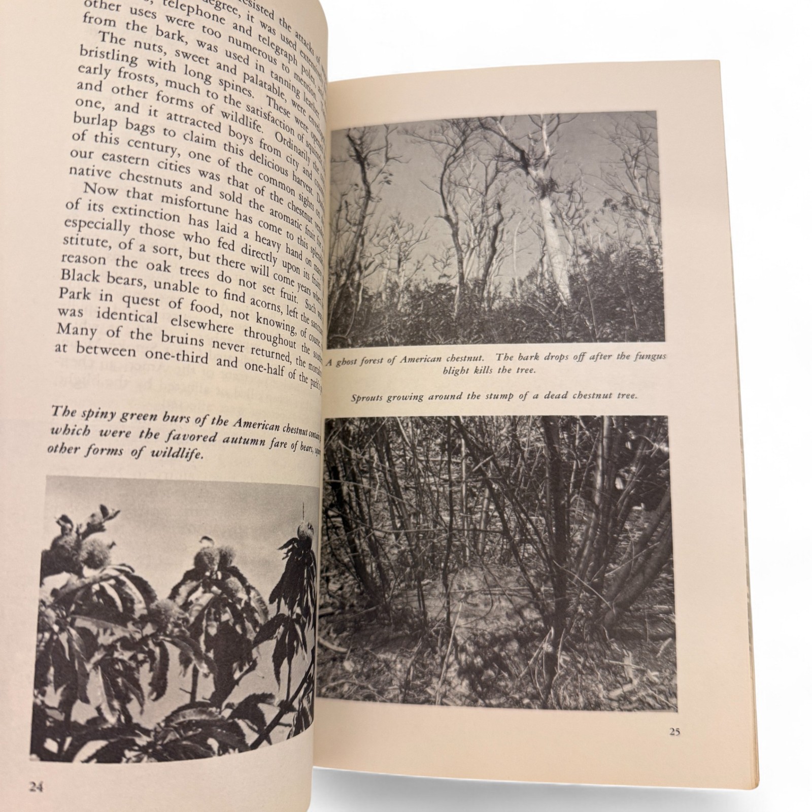 Great Smoky Mountains National Park Natural History Handbook