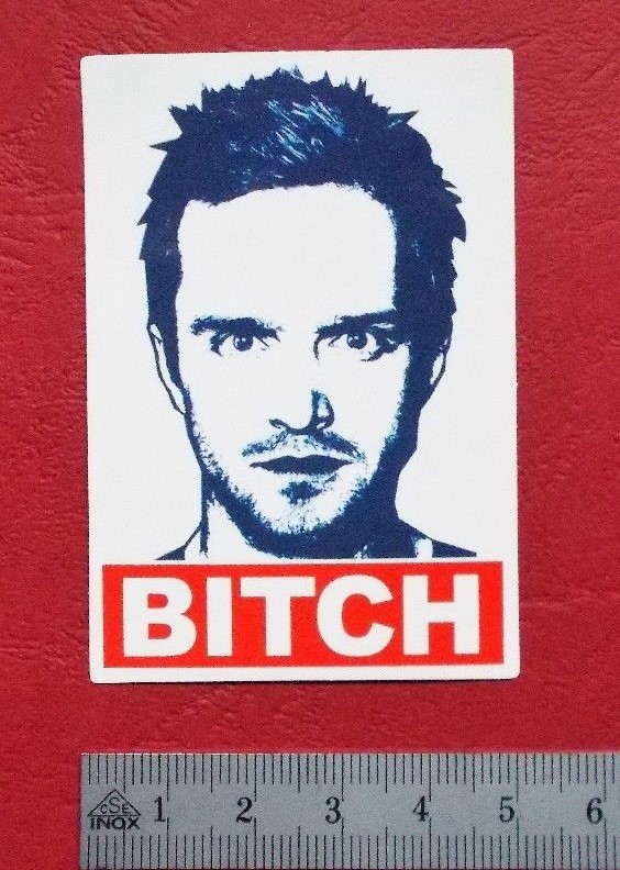 Sticker Decal ‘Bitch’ Matte Finish – Sticker Bomb Laptop Skateboard