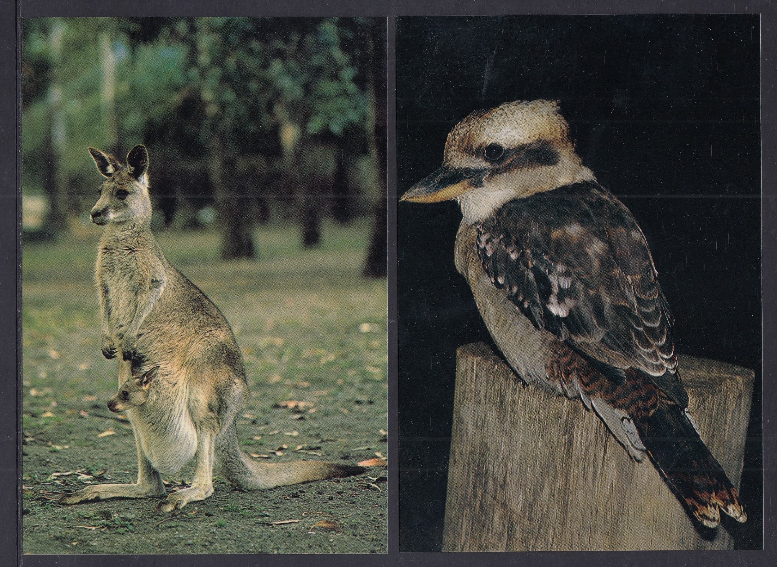 Australia Post Natural Heritage Collection Postcards Series 1V – 6 Cards unused