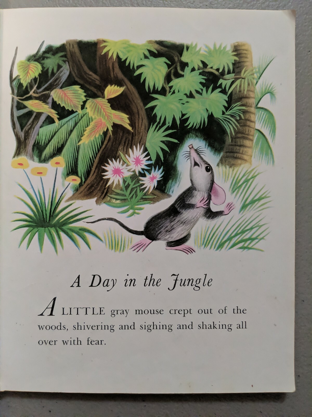 A Day In The Jungle, A Little Golden Book,1943(VINTAGE Brown Binding)