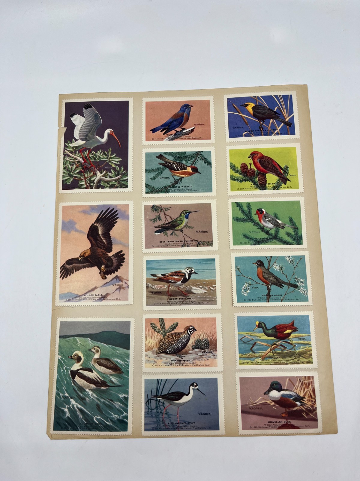 1951 National Wildlife Federation Wildlife Stamp Prints Birds Flowers Stamp Lot