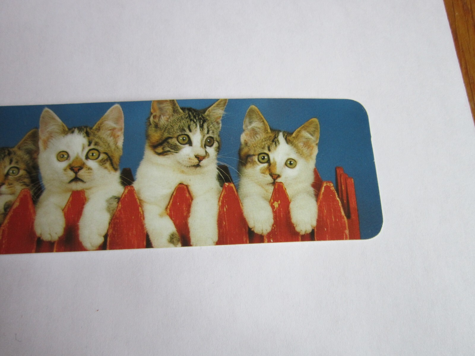 Vintage Bookmark Kittens 5 on fence Ron Kimball 1990’s photo Antioch Tabby Cat