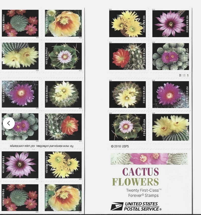 USPS sheet OF FOREVER STAMPS 2019 stamps （100pcs)