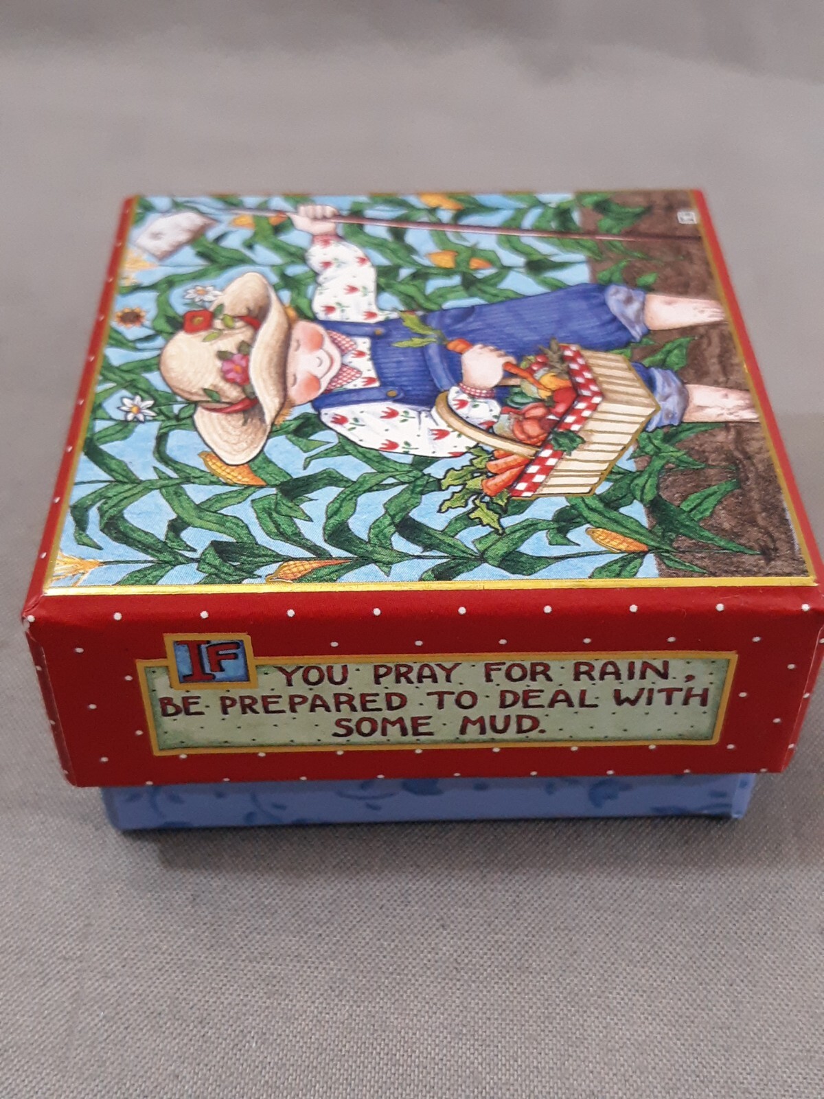 Mary Engelbreit Girl In Garden “Mud” Square Trinket Box Lined 30469