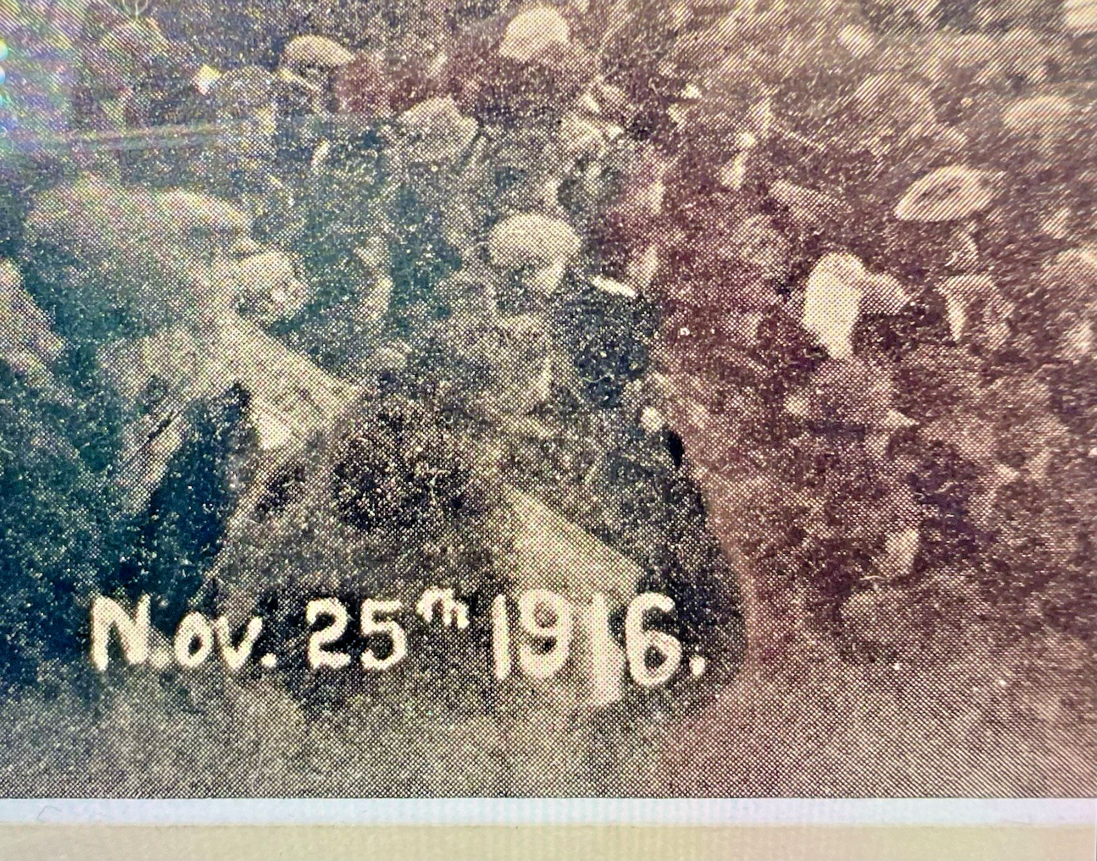 Framed Antique 1916 Yale Vs Harvard Football Game Panoramic Photo Memorabilia