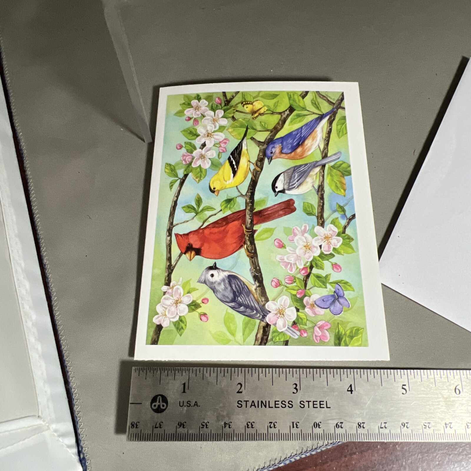 Jane Maday Blank Greeting Card Birds In Spring Cardinal Goldfinch Bluebird