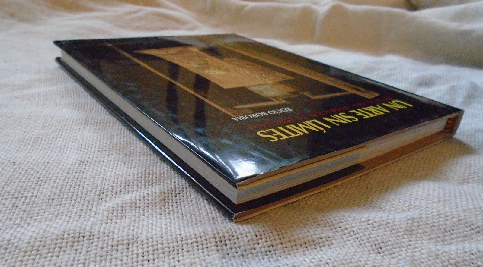 Un Arte Sin Limites Art Without Limits Spanish Rocio Borobia Hardcover 1995