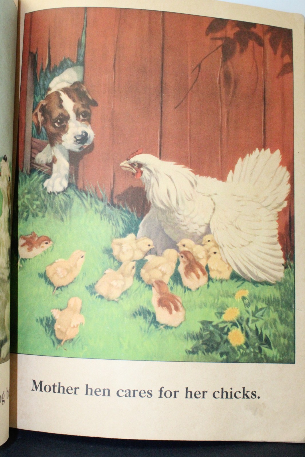 Vintage Farm Friends Large Children’s Paperback Book