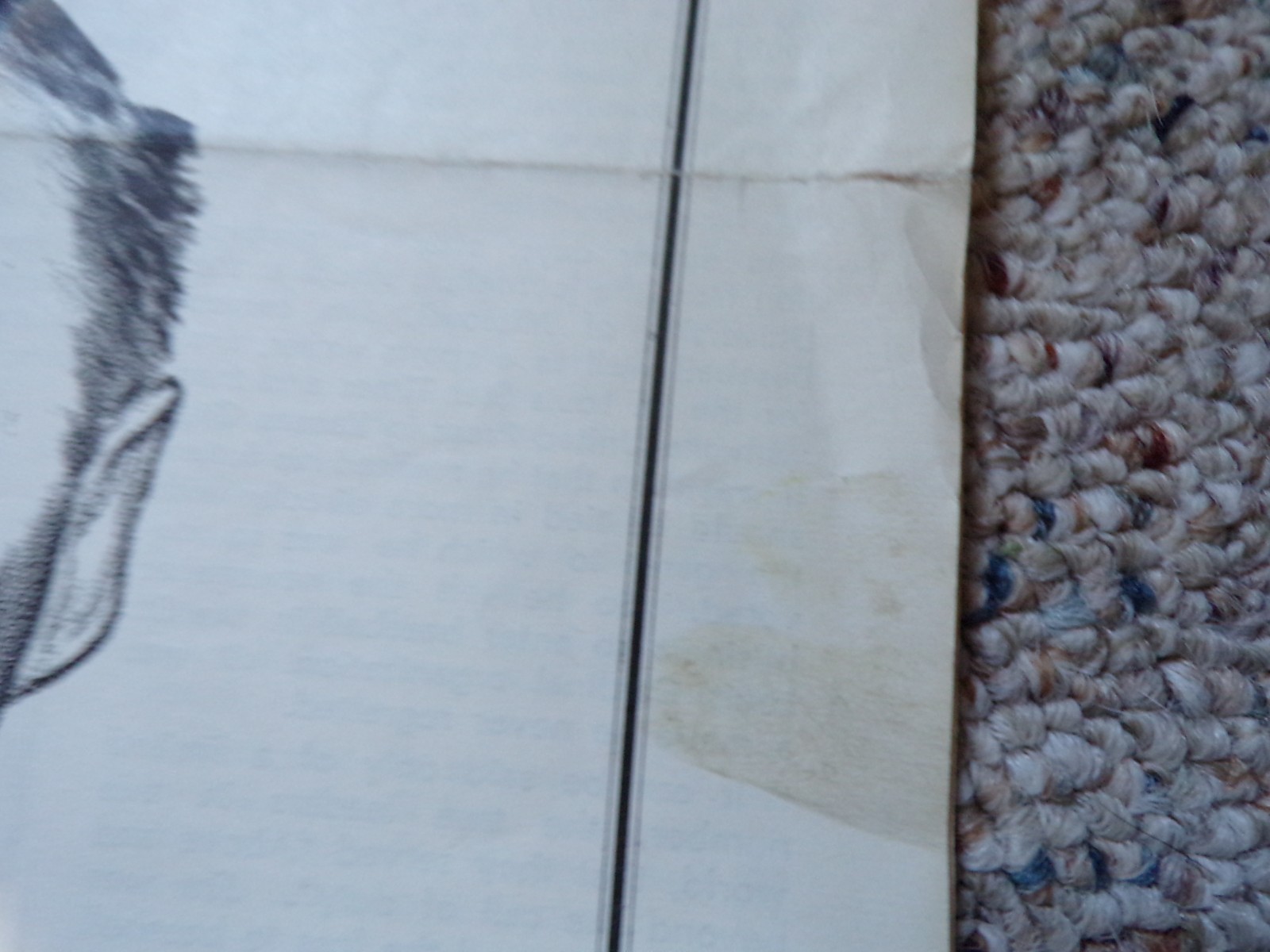 1958 Baseball White Rose Booster Club York PA News Letter Jim Grieves Vol 1 No 4