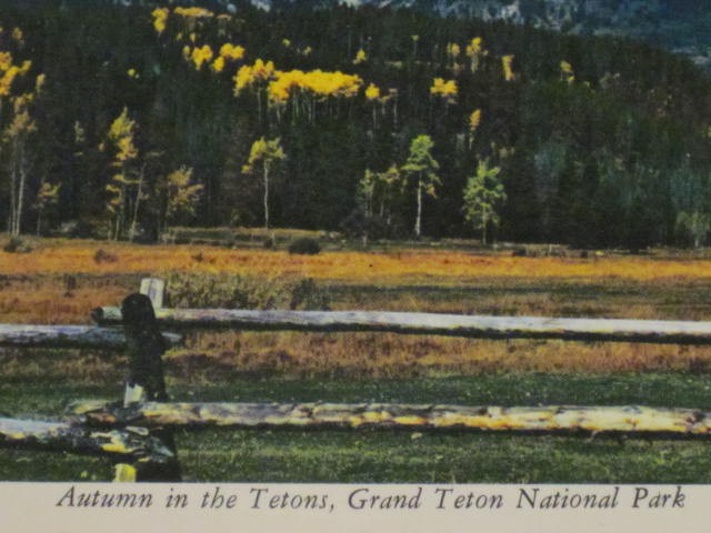 Autumn in Grand Teton National Park Postcard – Scalloped Edge / 4″x6″