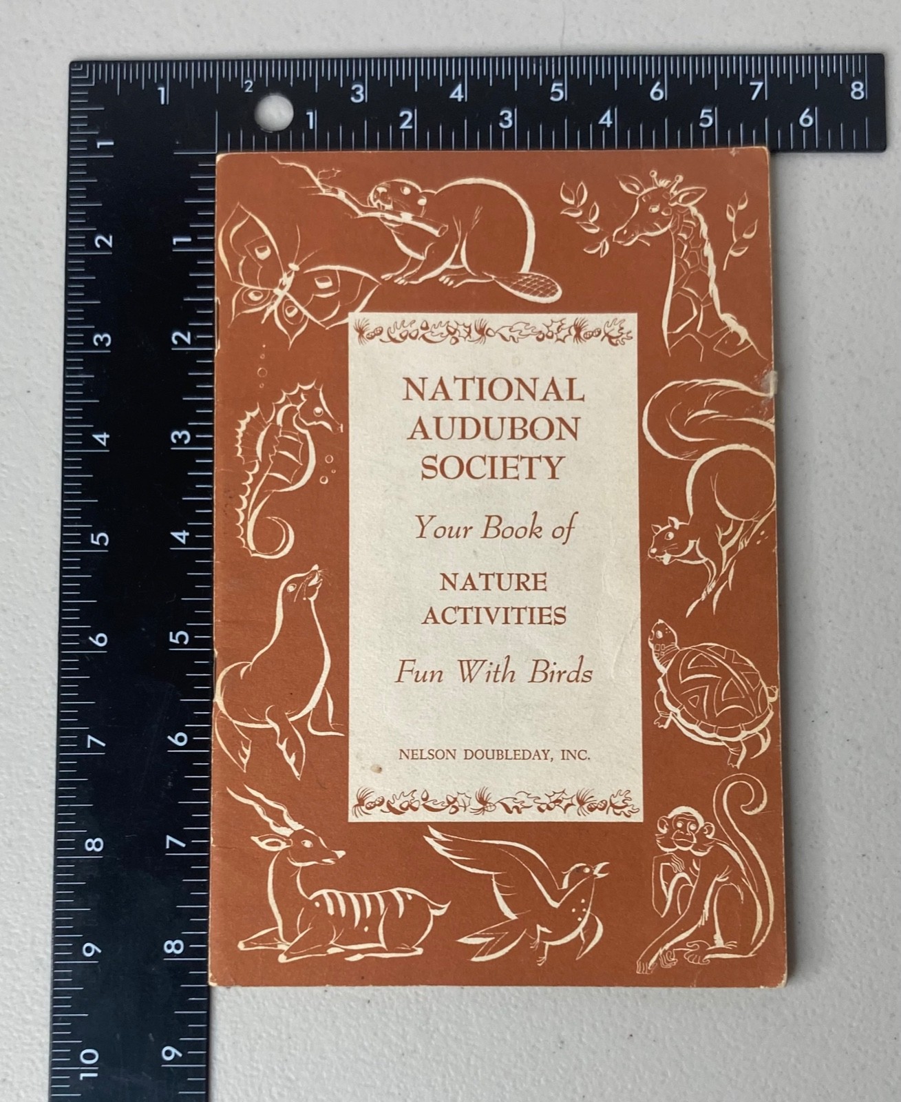 1953 Audubon Society booklet Nature Activities Fun With Birds Nelson Doubleday