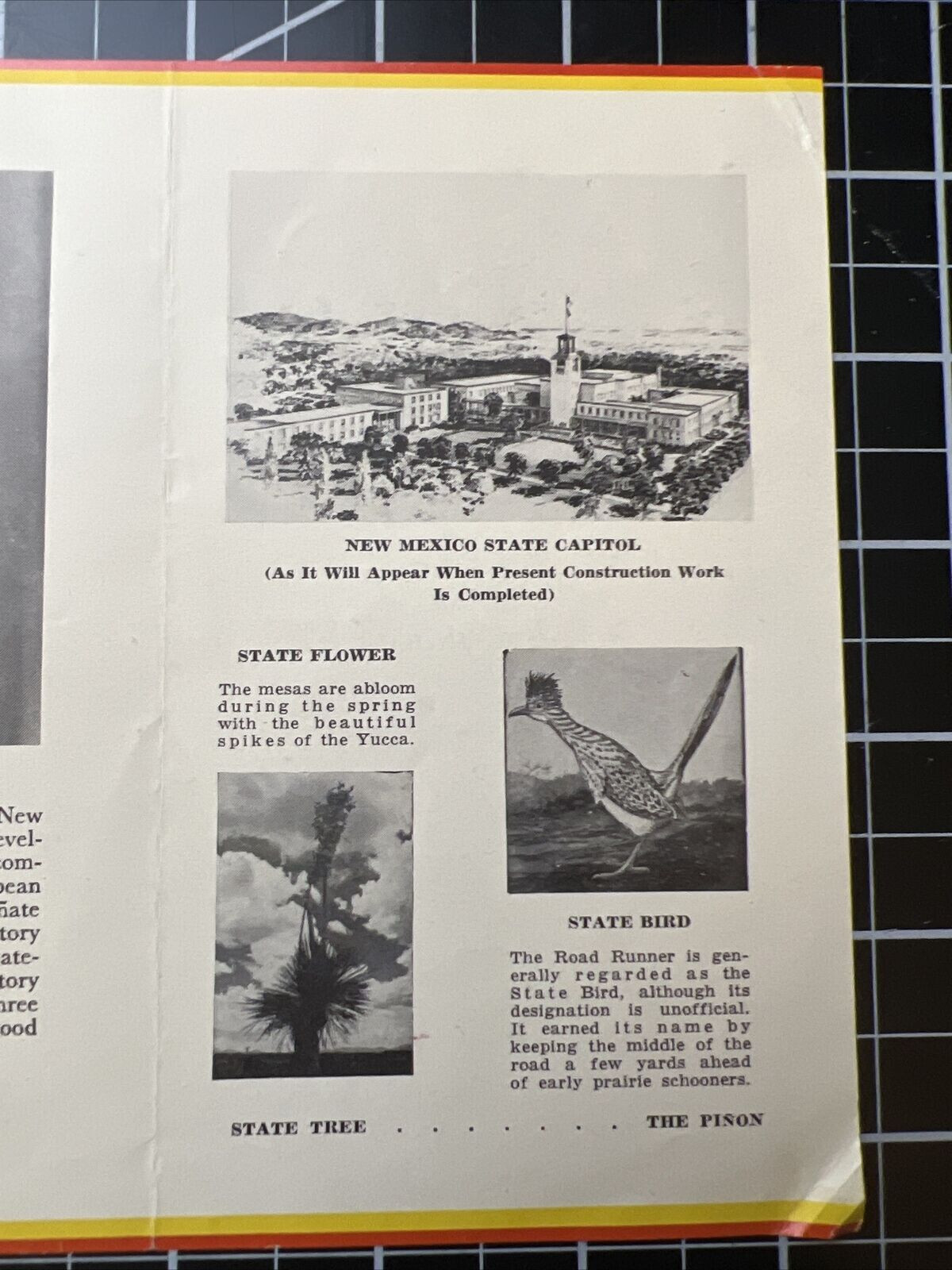 1951 New Mexico Official Insignia State Flag Pamphlet 1950s Edwin Mechem Vintage