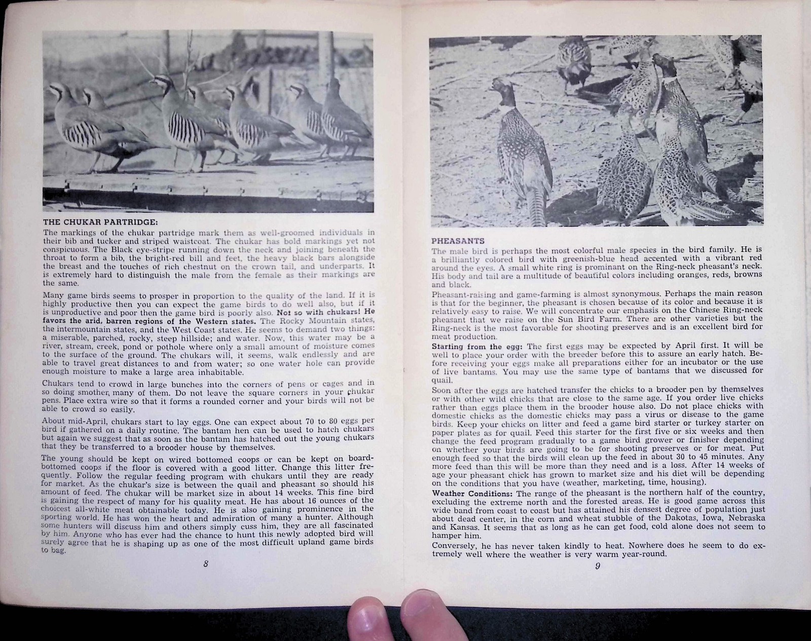 Game Bird Handbook Aviculture Manual Pheasant Quail Partridge Brooding 1950s