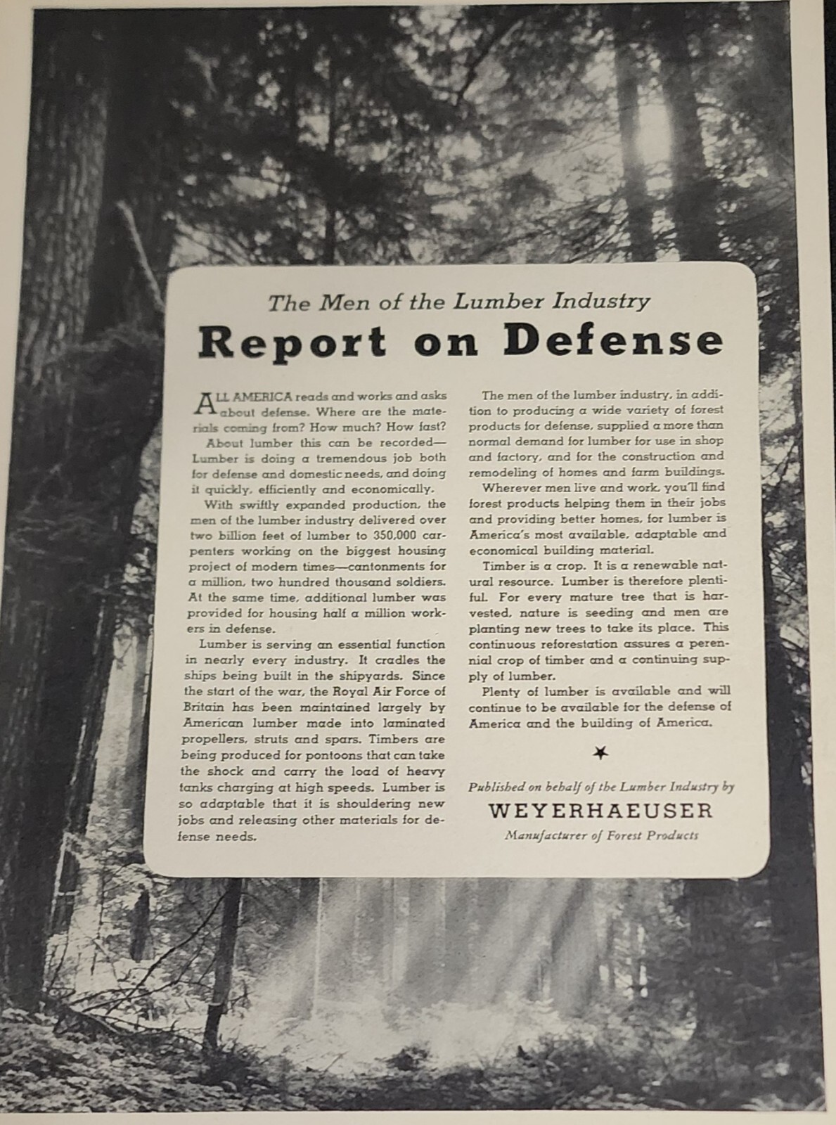Weyerhaeuser Timber Picture Magazine Ad Print Vtg Lumber Forest Wall Art