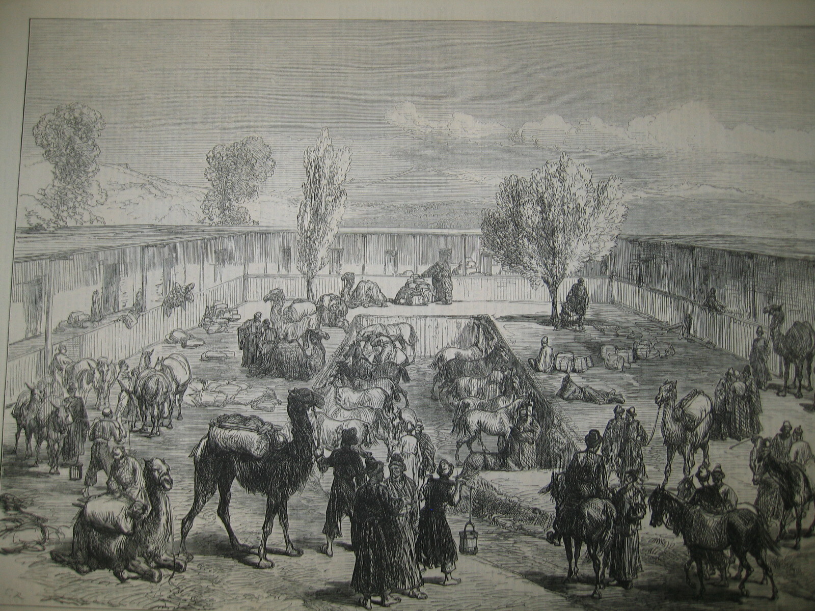 Antique 1874 Captain Orde Brown’s Party near Cairo Egypt Wood Engraving PRINT