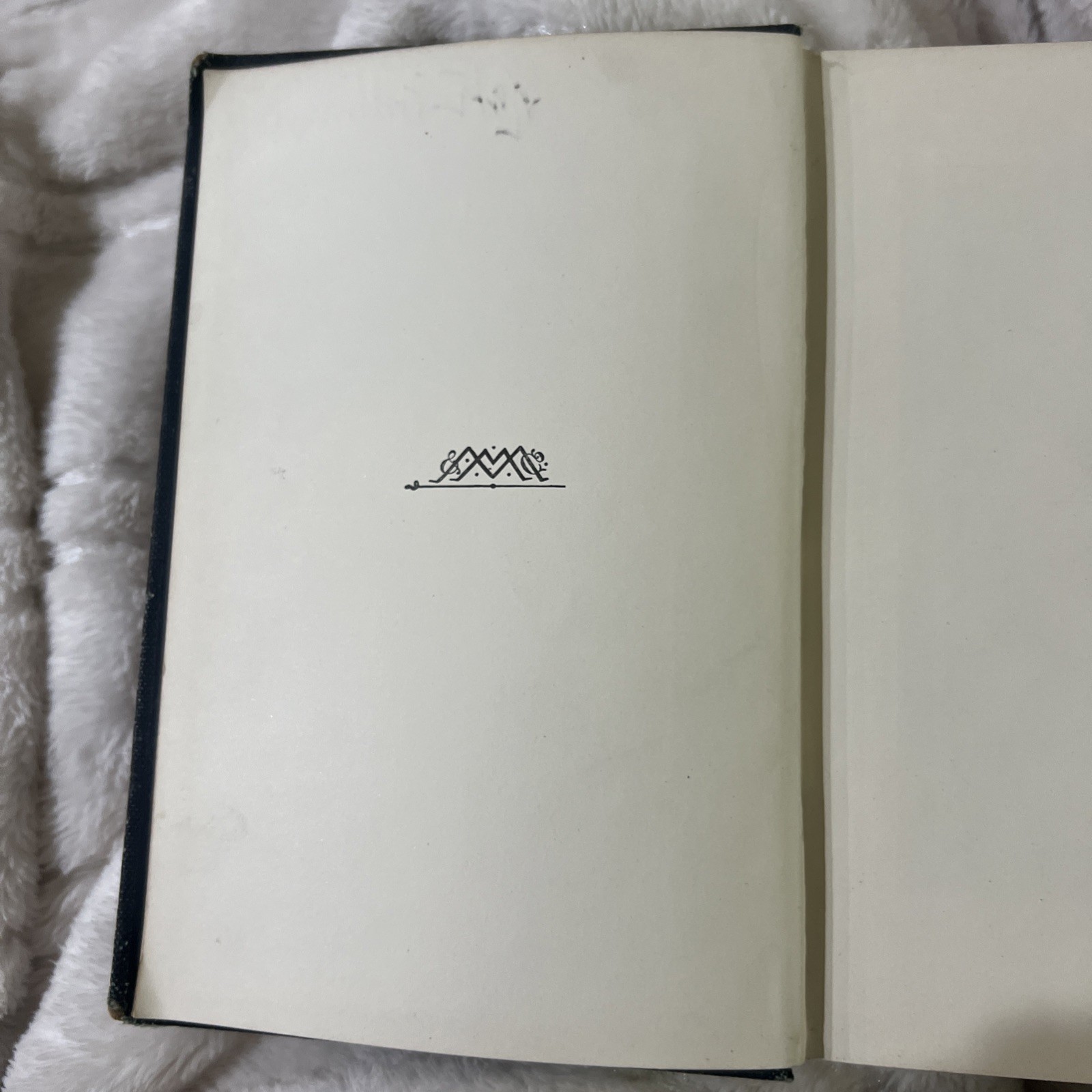 LOVE IN IDLENESS A Tale of Bar Harbor Maine 1894 1st Edition Illustrated