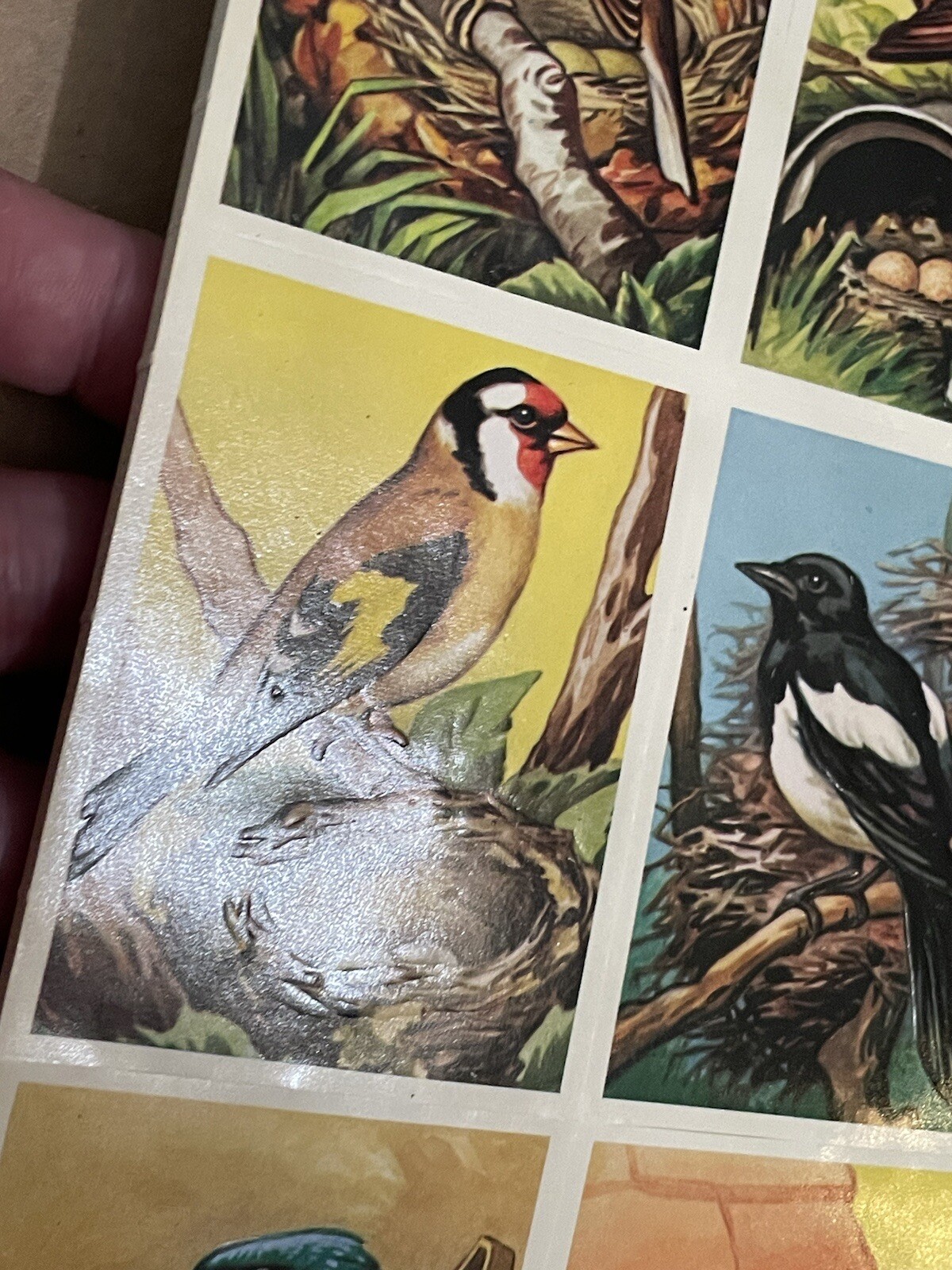 x10 Sheets Vintage England Embossed Cards Scrap Die Cut – Birds MLP