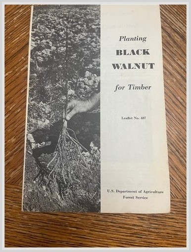 USDA Forest Service Leaflet 487 Black Walnut Timber Planting 1974 – Forestry