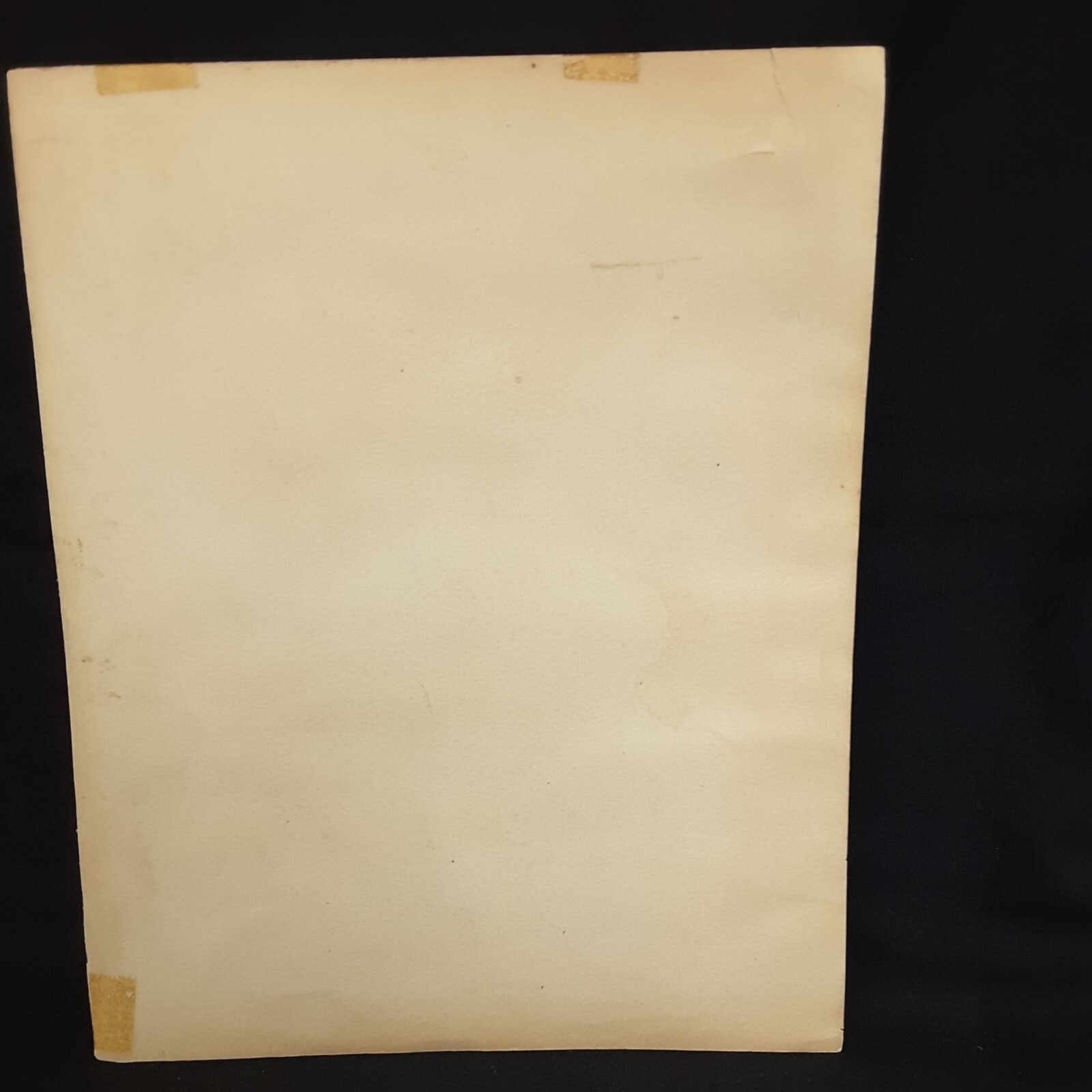 USPRR BIRD LITHOGRAPH 32nd PARALLEL EAST