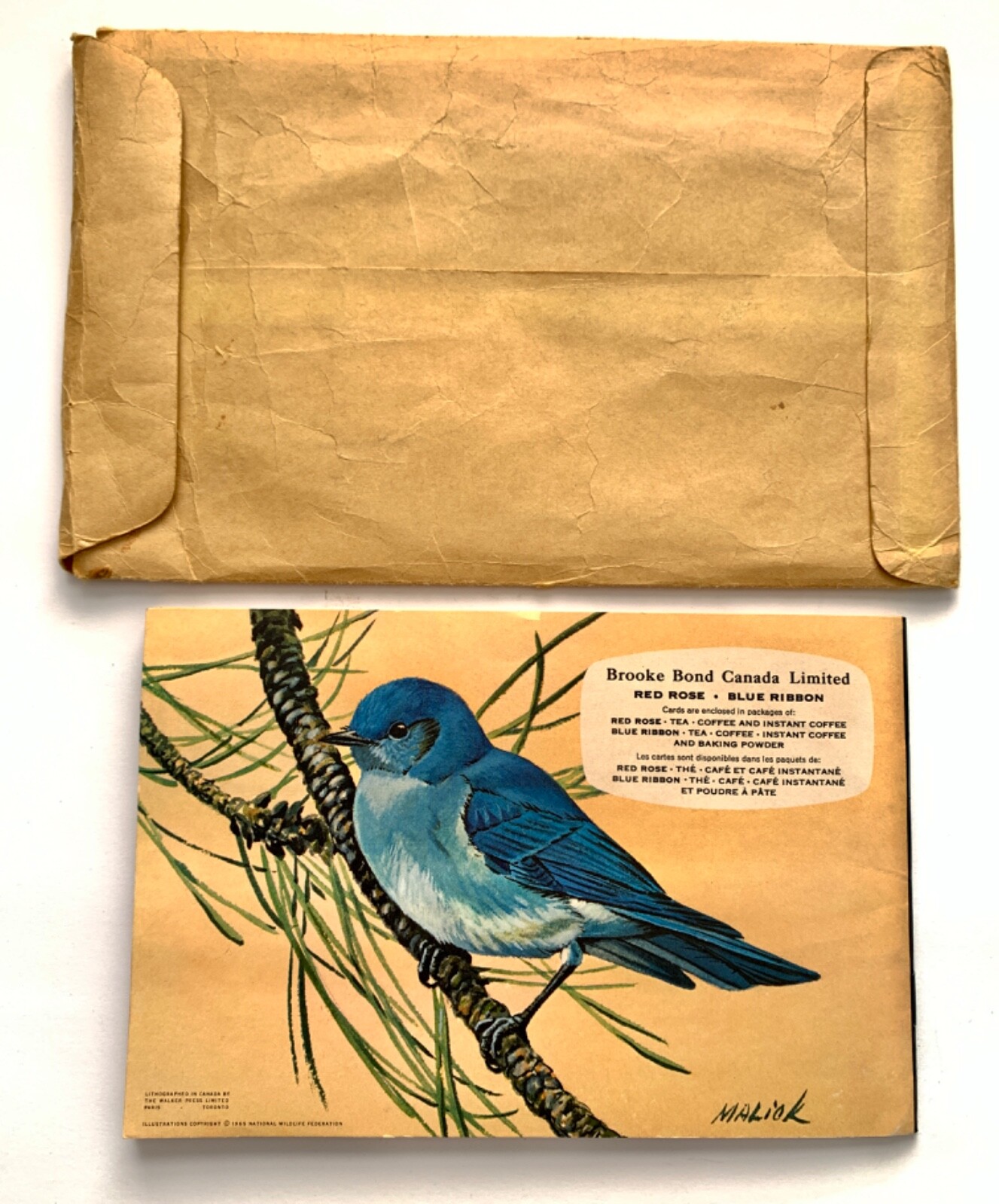Canadian-American Songbirds Booklet Album #9, Birds, Songbirds, Brooke Bond 1966