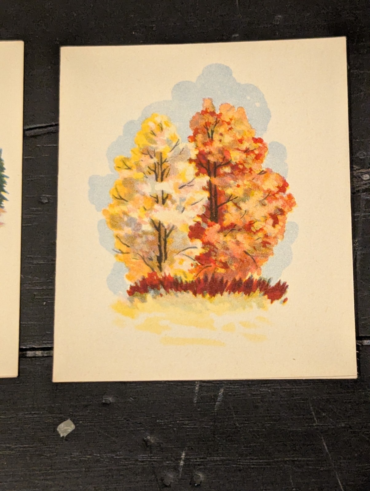 Vtg Bruelheide Bridge Tally Cards Lot Fall Autumn Trees Landscape Ephemera