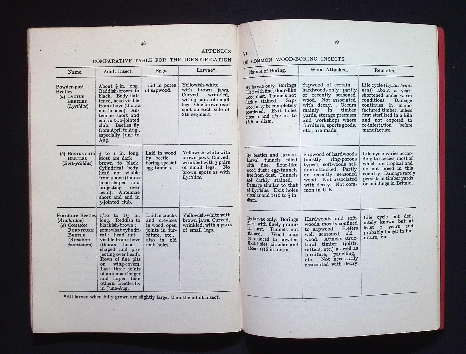 Timber Pests: Their Origin, Prevention & Cure by Timber Development Assoc., 1949