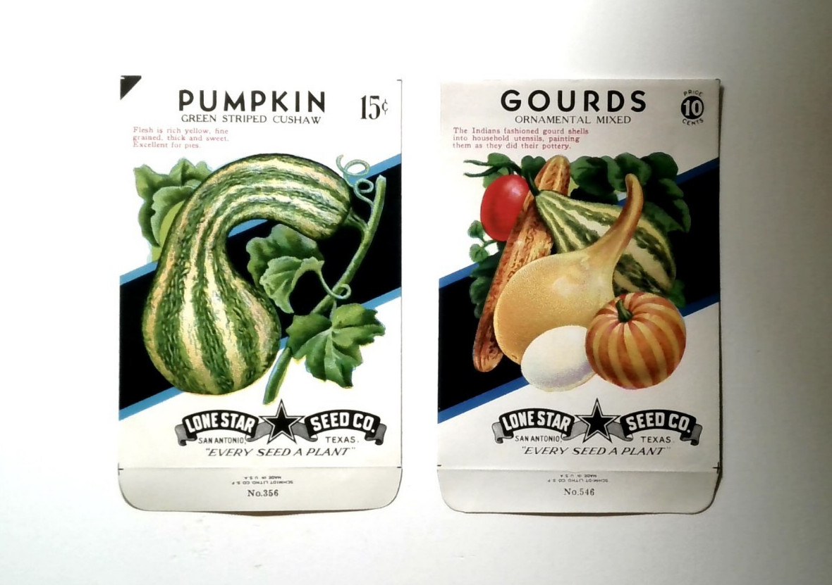 Set Of 2 EMPTY Seed Package Envelopes Halloween Gourds Pumpkin Vintage Lone Star