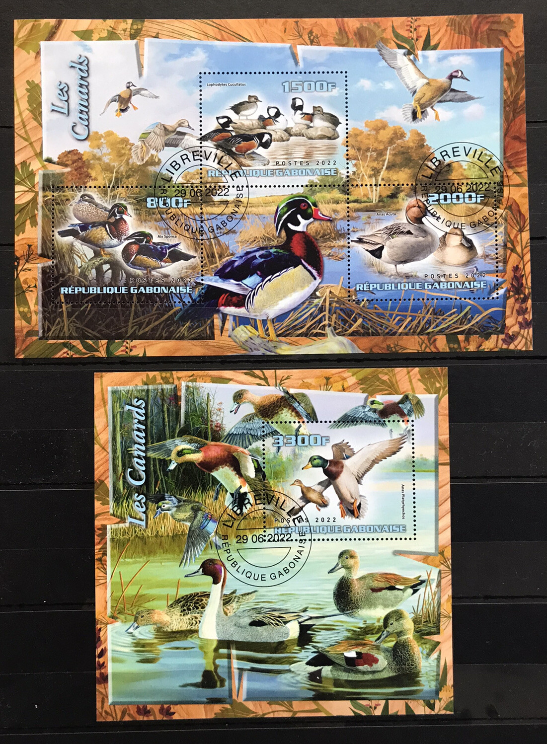 Ducks / Birds / Fauna / Nature – CTO / P2-1