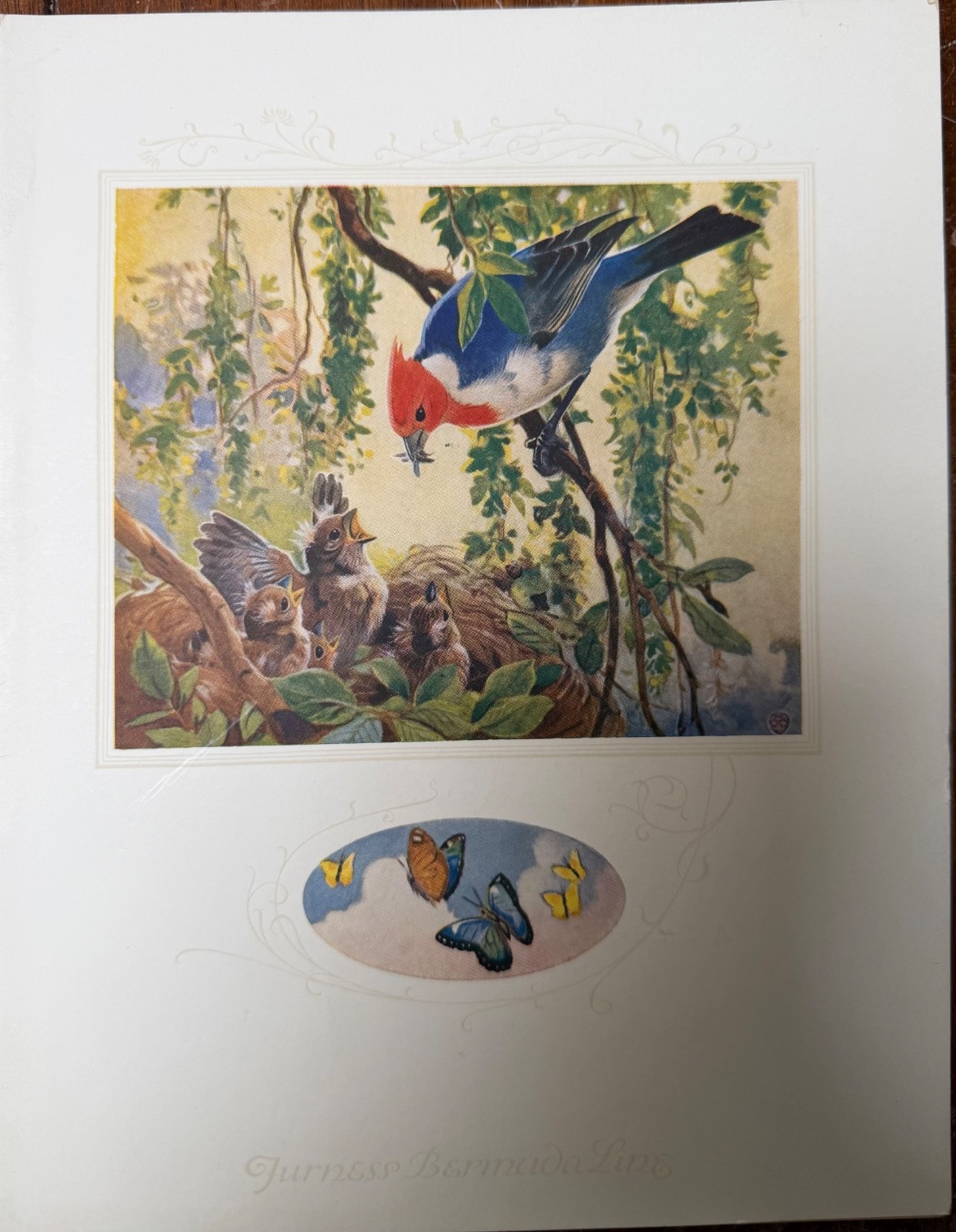 Vintage 1936 Furness Bermuda Cruise Line Menu Ocean Monarch Birds – Exc Cond.