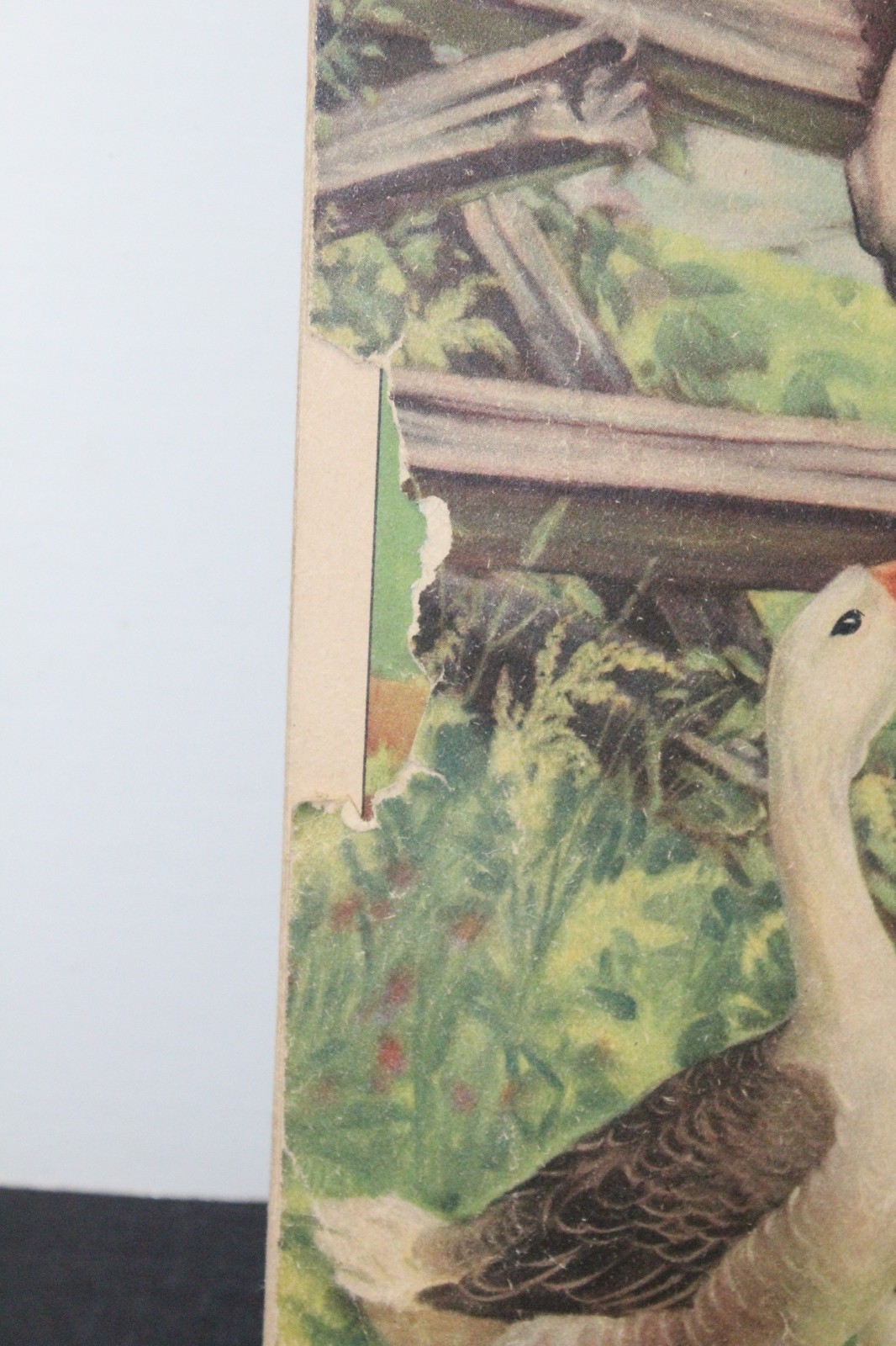 Vintage Farm Friends Large Children’s Paperback Book