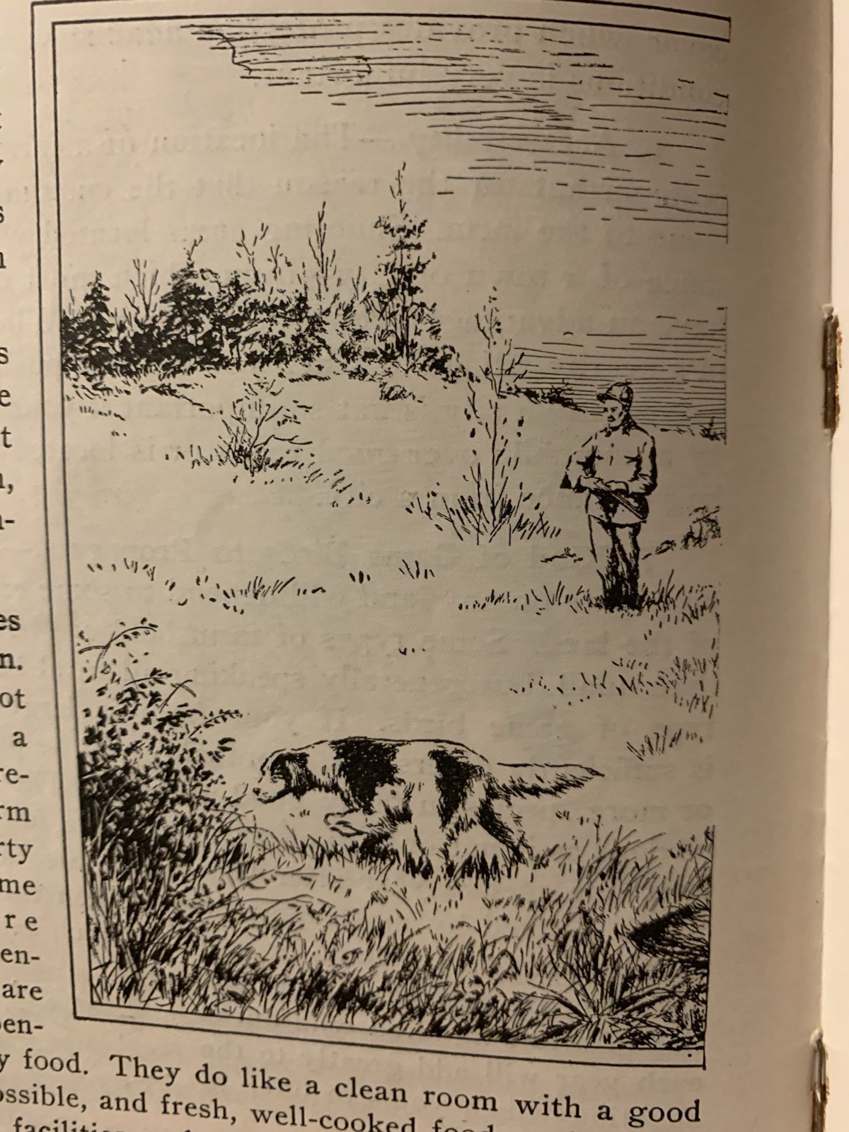 1940s More Game Birds in America Inc How to Make Them Pay On Your Farm Booklet